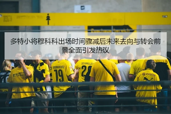 多特小将穆科科出场时间骤减后未来去向与转会前景全面引发热议