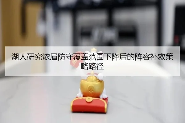 湖人研究浓眉防守覆盖范围下降后的阵容补救策略路径